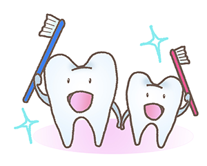 ポイント2：歯質を強化する