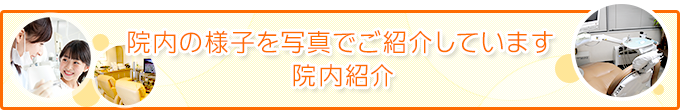 院内の様子を写真でご紹介しています院内紹介